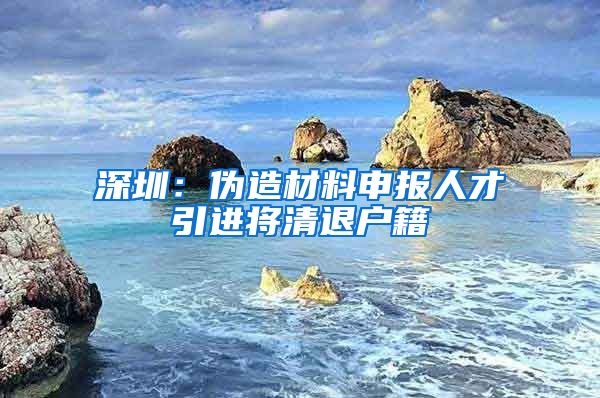 深圳：伪造材料申报人才引进将清退户籍