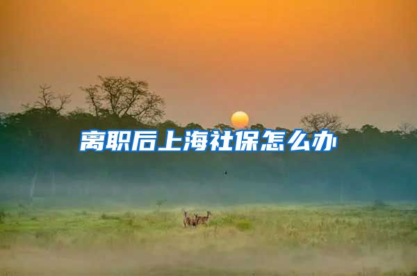 离职后上海社保怎么办