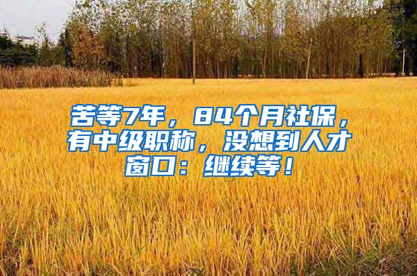 苦等7年，84个月社保，有中级职称，没想到人才窗口：继续等！
