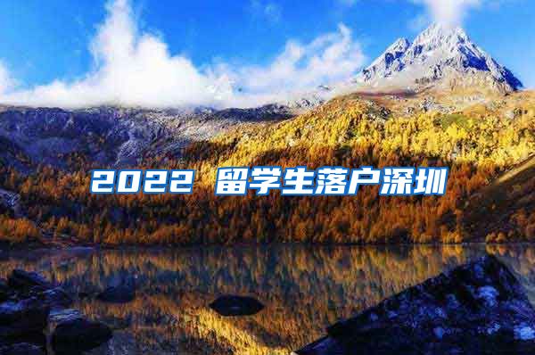 2022 留学生落户深圳