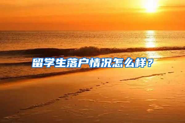 留学生落户情况怎么样？