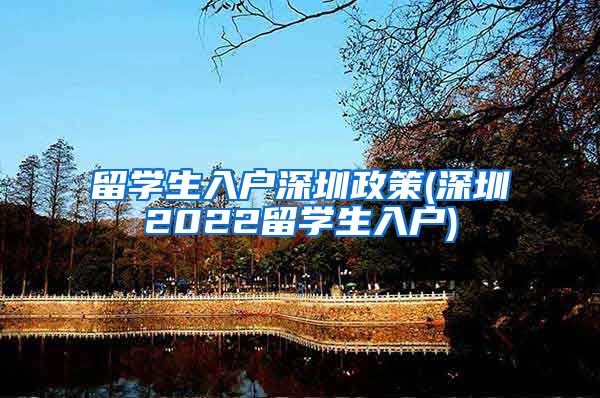 留学生入户深圳政策(深圳2022留学生入户)