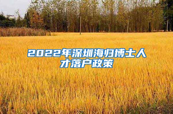 2022年深圳海归博士人才落户政策