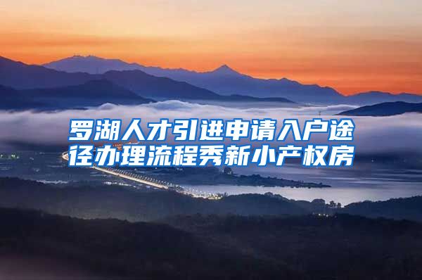罗湖人才引进申请入户途径办理流程秀新小产权房