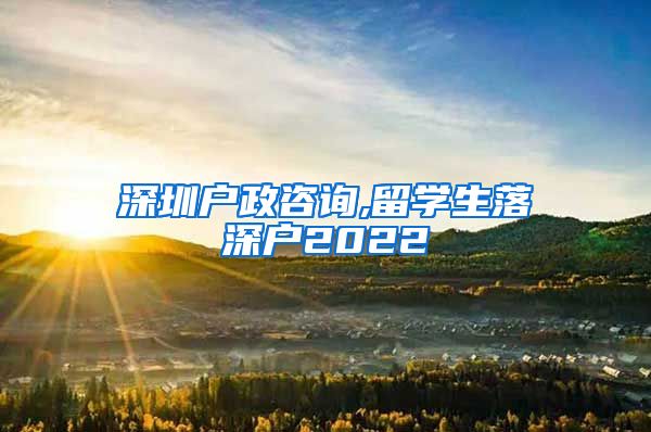 深圳户政咨询,留学生落深户2022