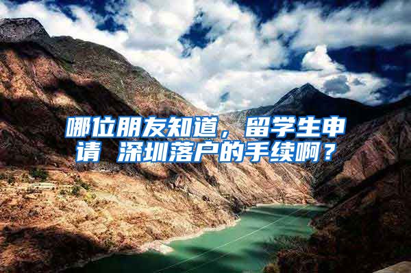 哪位朋友知道，留学生申请 深圳落户的手续啊？