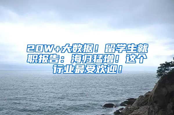 20W+大数据！留学生就职报告：海归猛增！这个行业最受欢迎！