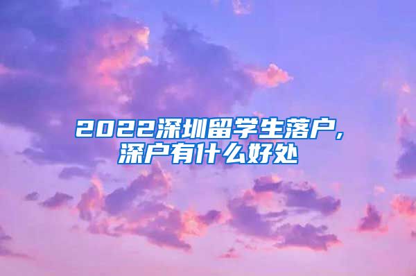 2022深圳留学生落户,深户有什么好处