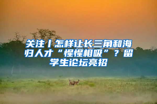 关注丨怎样让长三角和海归人才“惺惺相吸”？留学生论坛亮招