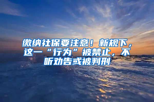 缴纳社保要注意！新规下，这一“行为”被禁止，不听劝告或被判刑