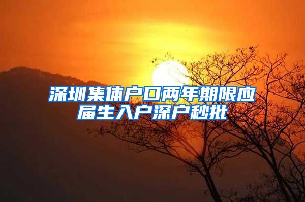 深圳集体户口两年期限应届生入户深户秒批