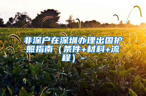 非深户在深圳办理出国护照指南（条件+材料+流程）-