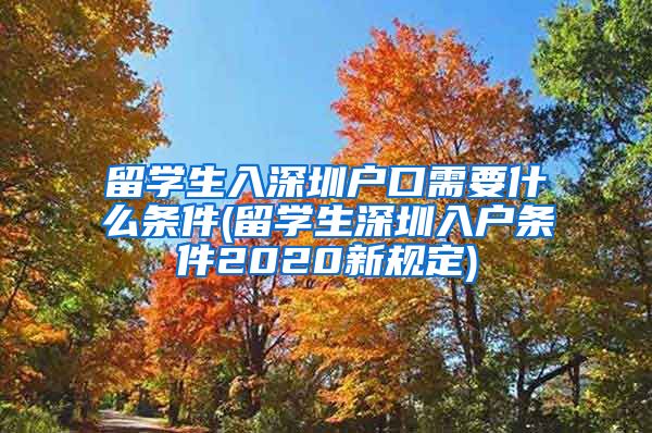 留学生入深圳户口需要什么条件(留学生深圳入户条件2020新规定)