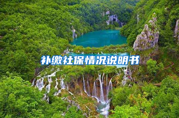 补缴社保情况说明书