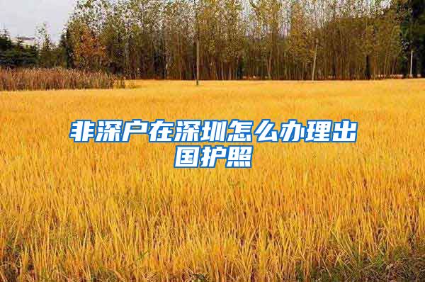 非深户在深圳怎么办理出国护照