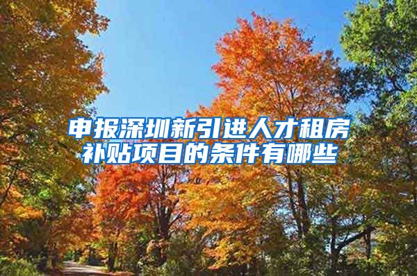 申报深圳新引进人才租房补贴项目的条件有哪些