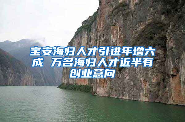 宝安海归人才引进年增六成 万名海归人才近半有创业意向