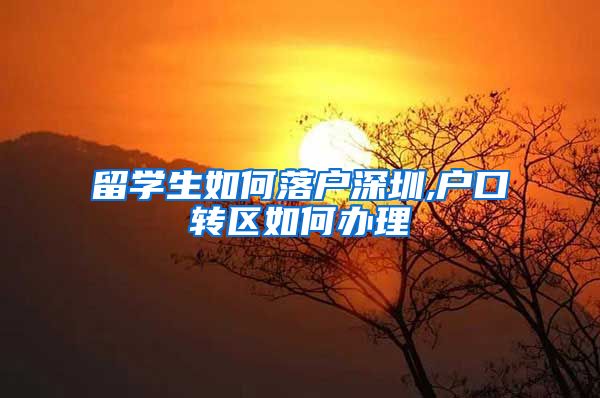 留学生如何落户深圳,户口转区如何办理