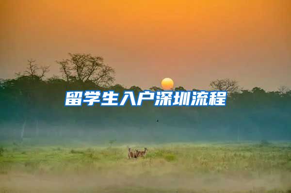 留学生入户深圳流程
