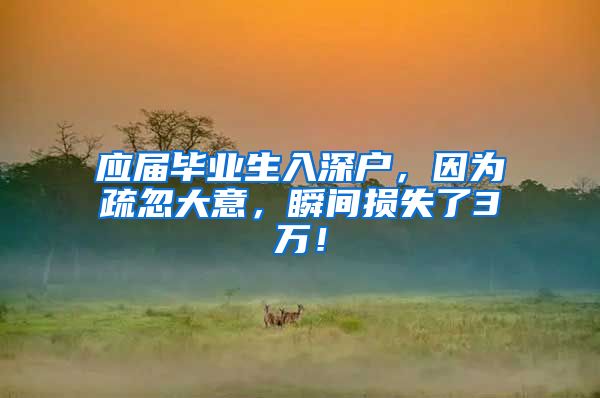 应届毕业生入深户，因为疏忽大意，瞬间损失了3万！