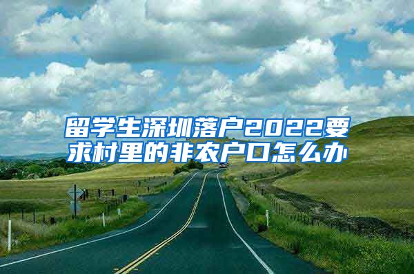 留学生深圳落户2022要求村里的非农户口怎么办