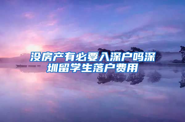 没房产有必要入深户吗深圳留学生落户费用