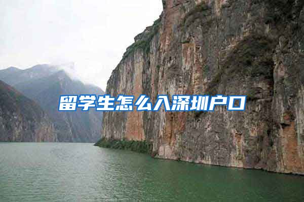 留学生怎么入深圳户口