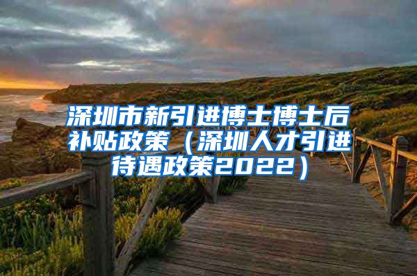 深圳市新引进博士博士后补贴政策（深圳人才引进待遇政策2022）