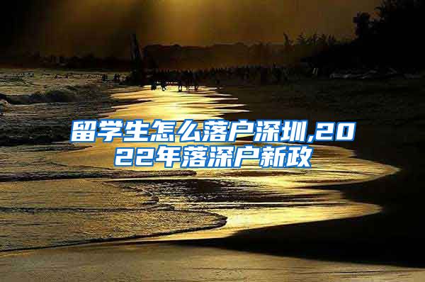 留学生怎么落户深圳,2022年落深户新政