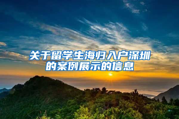 关于留学生海归入户深圳的案例展示的信息