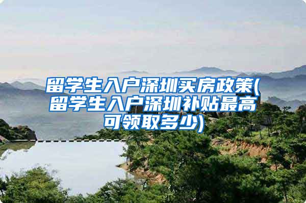 留学生入户深圳买房政策(留学生入户深圳补贴最高可领取多少)