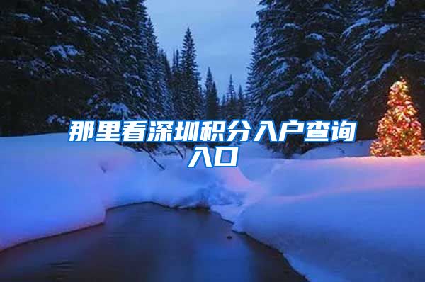 那里看深圳积分入户查询入口