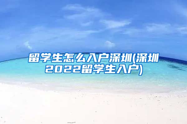 留学生怎么入户深圳(深圳2022留学生入户)