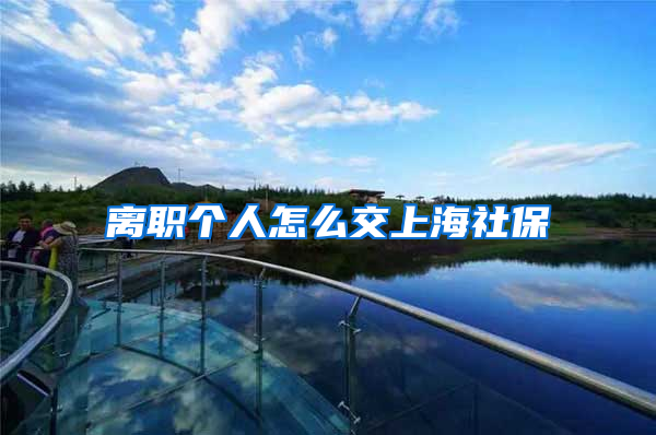 离职个人怎么交上海社保