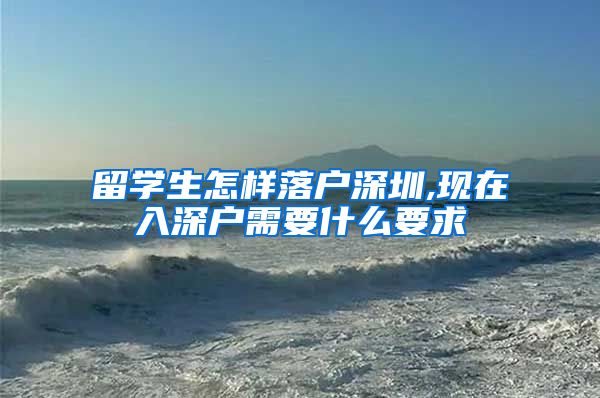 留学生怎样落户深圳,现在入深户需要什么要求
