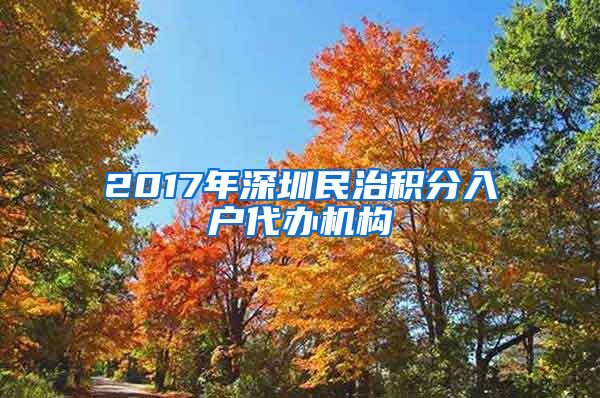 2017年深圳民治积分入户代办机构