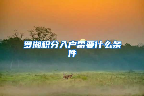 罗湖积分入户需要什么条件