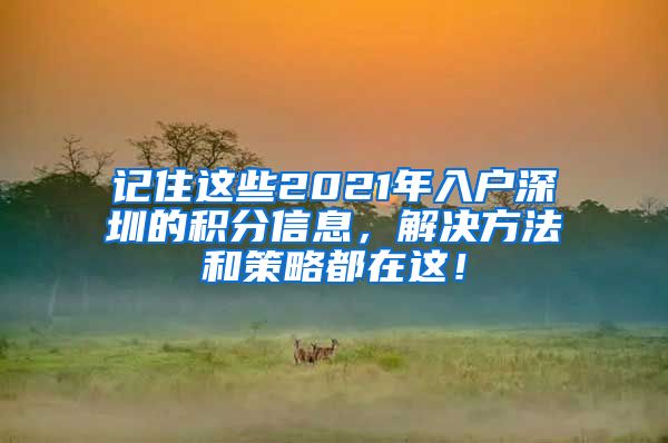 记住这些2021年入户深圳的积分信息，解决方法和策略都在这！