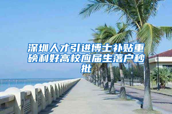 深圳人才引进博士补贴重磅利好高校应届生落户秒批