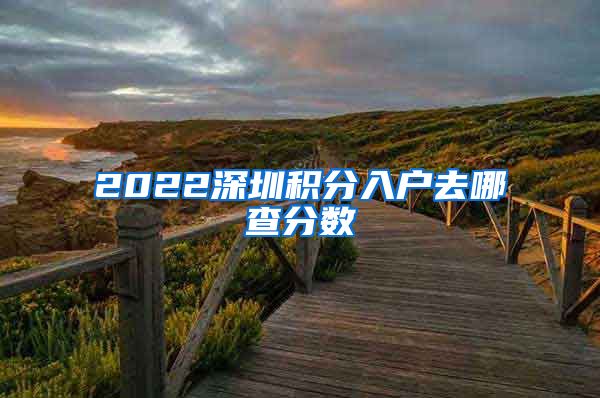 2022深圳积分入户去哪查分数