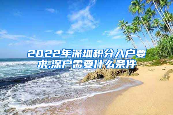 2022年深圳积分入户要求,深户需要什么条件