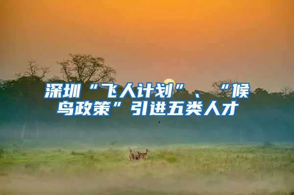 深圳“飞人计划”、“候鸟政策”引进五类人才