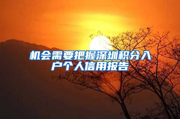 机会需要把握深圳积分入户个人信用报告