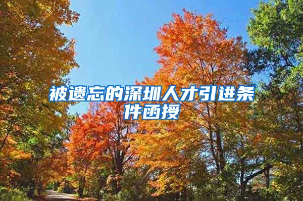 被遗忘的深圳人才引进条件函授