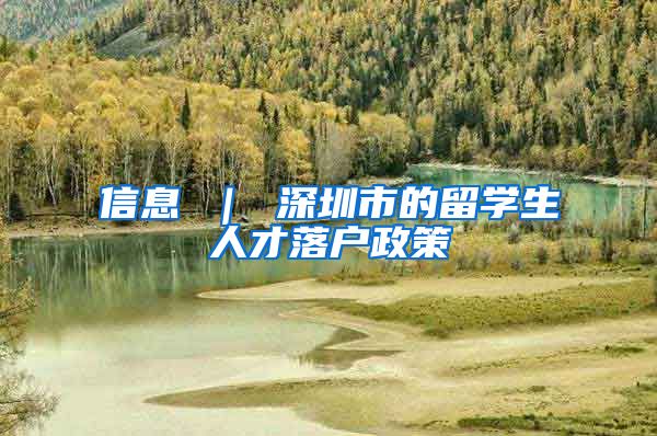 信息 ｜ 深圳市的留学生人才落户政策