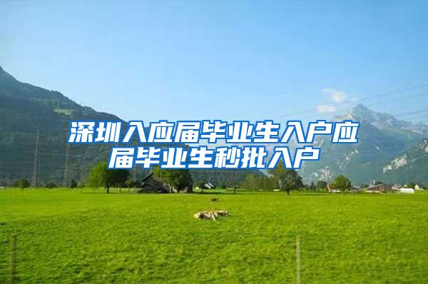 深圳入应届毕业生入户应届毕业生秒批入户