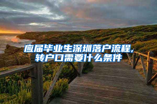 应届毕业生深圳落户流程,转户口需要什么条件