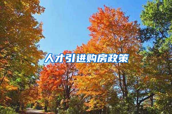 人才引进购房政策