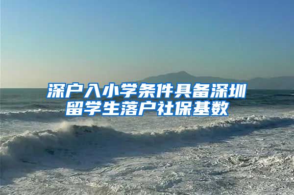 深户入小学条件具备深圳留学生落户社保基数