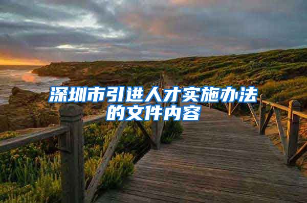 深圳市引进人才实施办法的文件内容